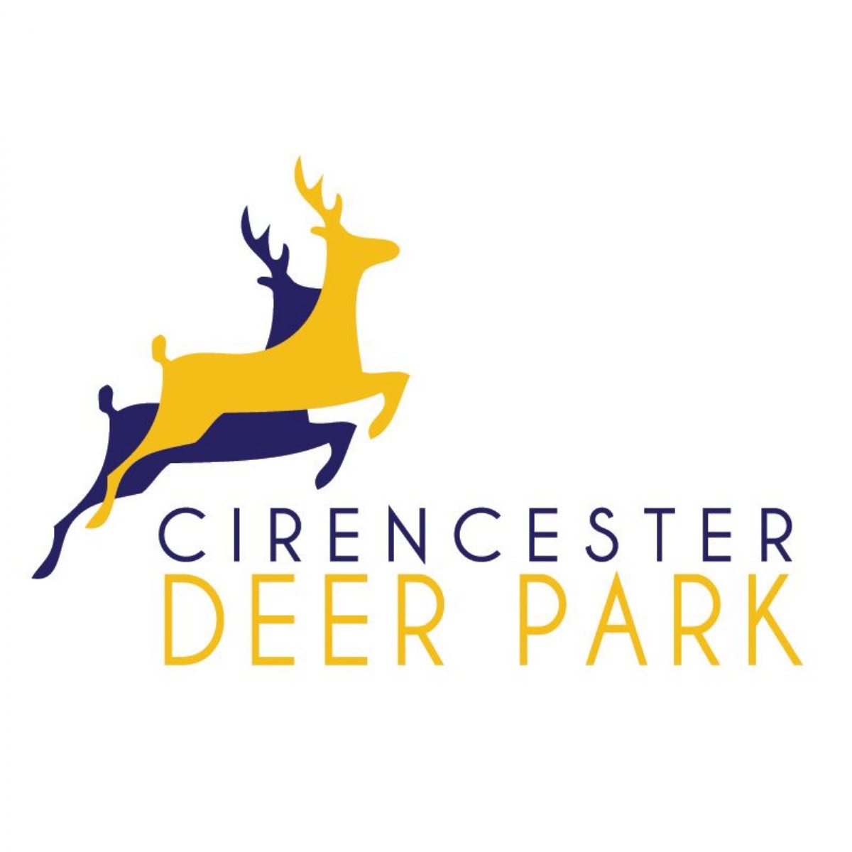 cirencester-deer-park-school-vacancies-for-new-governors
